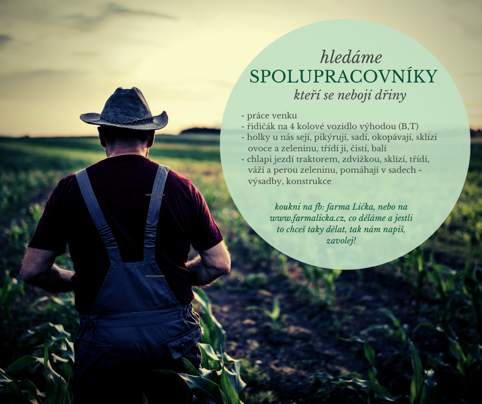 hledáme_spolupracovníky image hledáme spolupracovníky