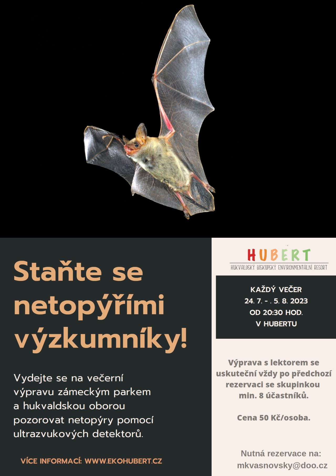 netopyr image netopyr