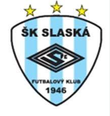 fotbal_slaska image fotbal slaska